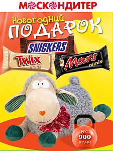 Новогодний подарок Сладкий подарок на Новый год «Пушистик»